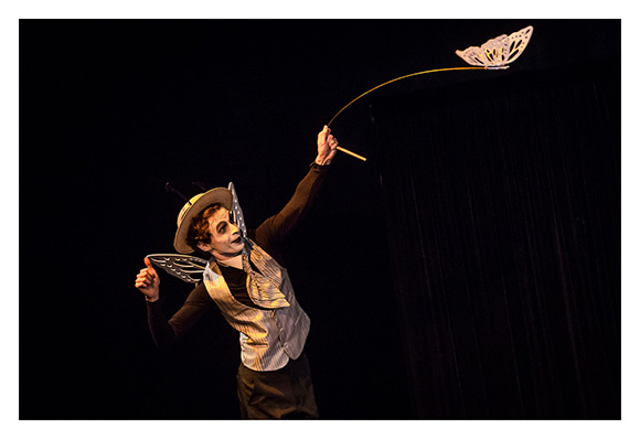 CALINECZKA DLA DOROSŁYCH